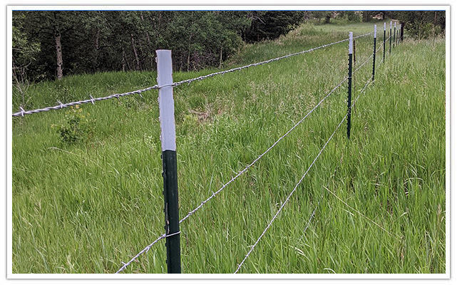 Denver commercial barbed wire fence