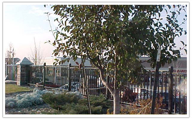 Commercial ornamental iron fence company in Denver