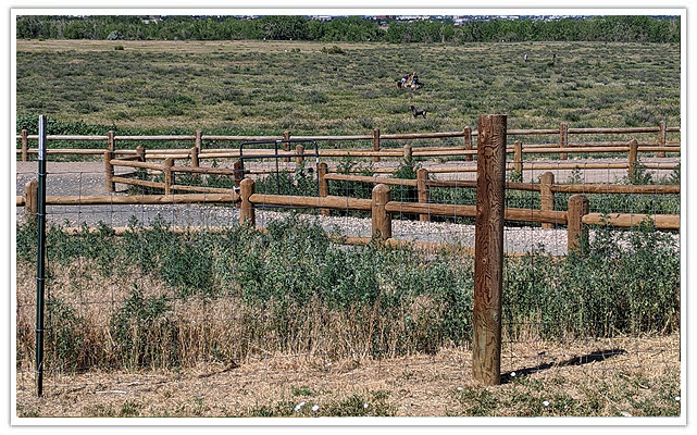 Arvada commercial post & rail fence