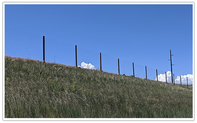 Denver Deer fence